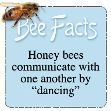 beeFacts01